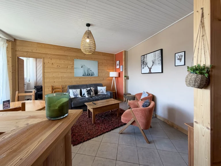 Salon avec fauteuil et canapé. Bar américain au 1er plan